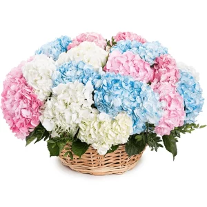 Цветы в корзине с гортензиями
