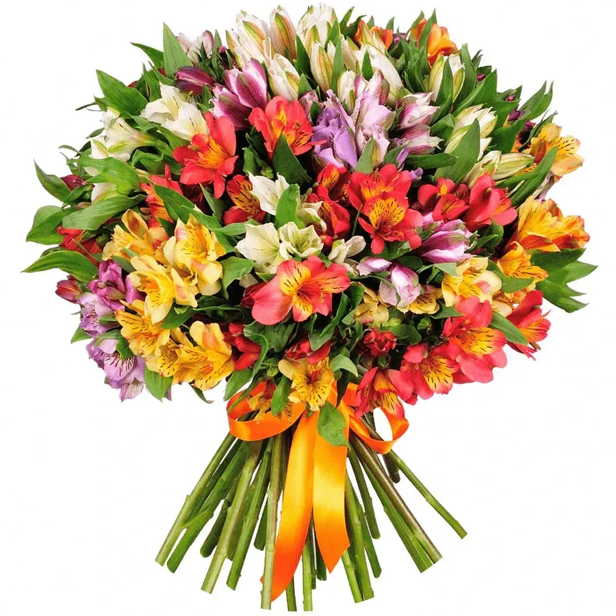 Альстромерия микс Радуга