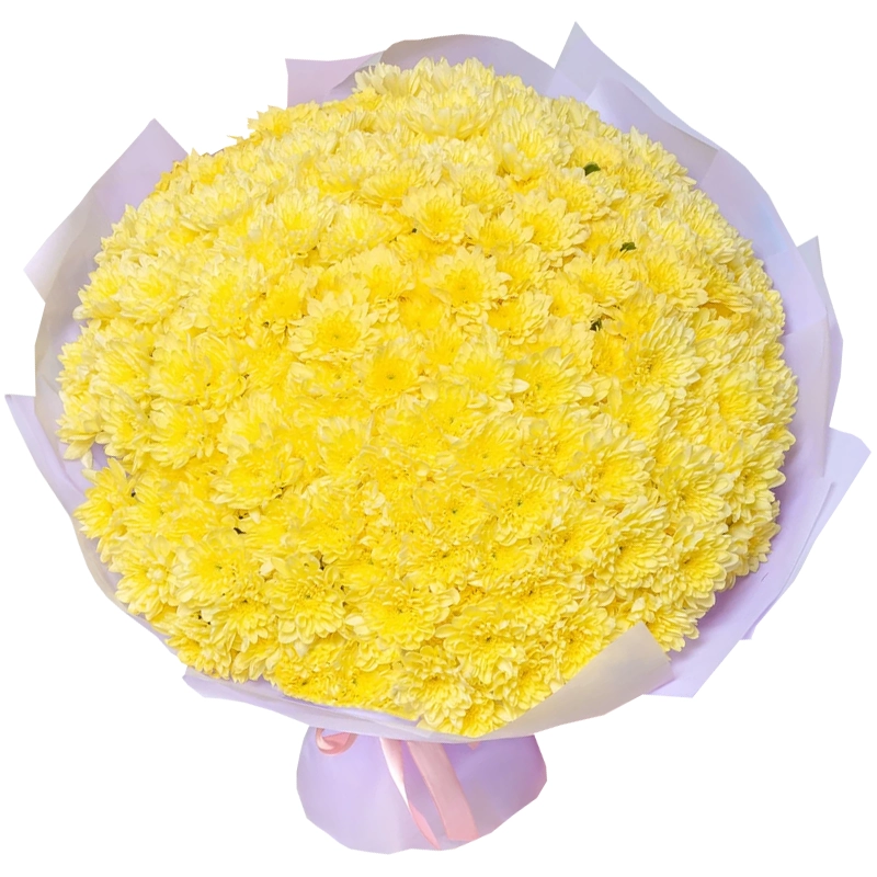 Букет из 51 желтой кустовой хризантемы