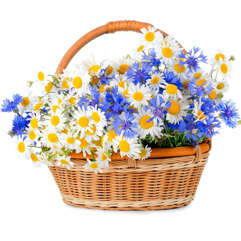 Корзина с цветами Дары любви