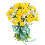 Нарциссы микс